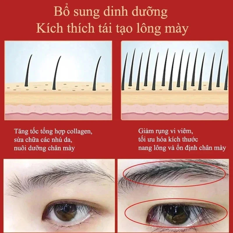 Eyebrow Growth Serum Eyelash Hair Growth Anti Hairs Loss Product Prevent Baldness Fuller Thicker Lengthening Eyebrow Makeup